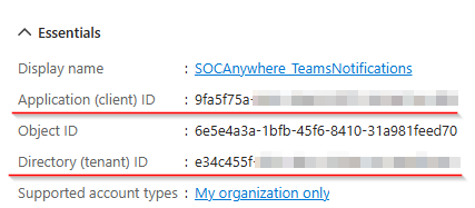 Screenshot of app registration Overview page showing Application (client) ID and Directory (tenant) ID